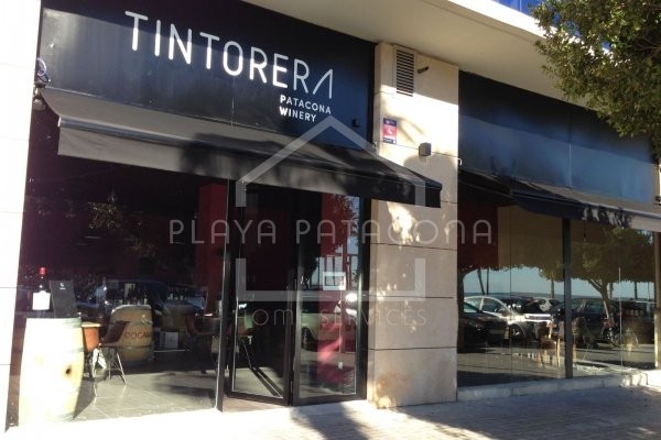 Tintorera patacona winery